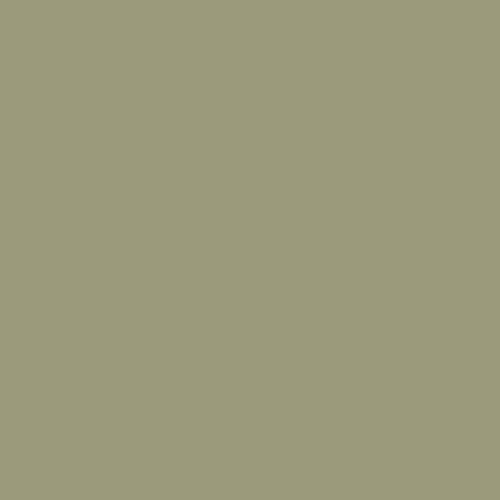 30 - Sage Green 30 - Sage Green